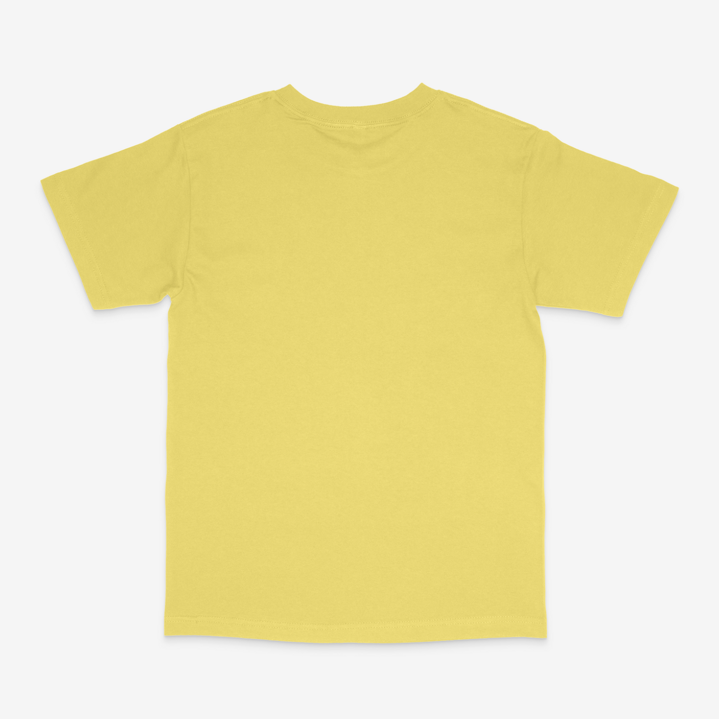American Apparel - Heavyweight Cotton T-Shirt - 1301