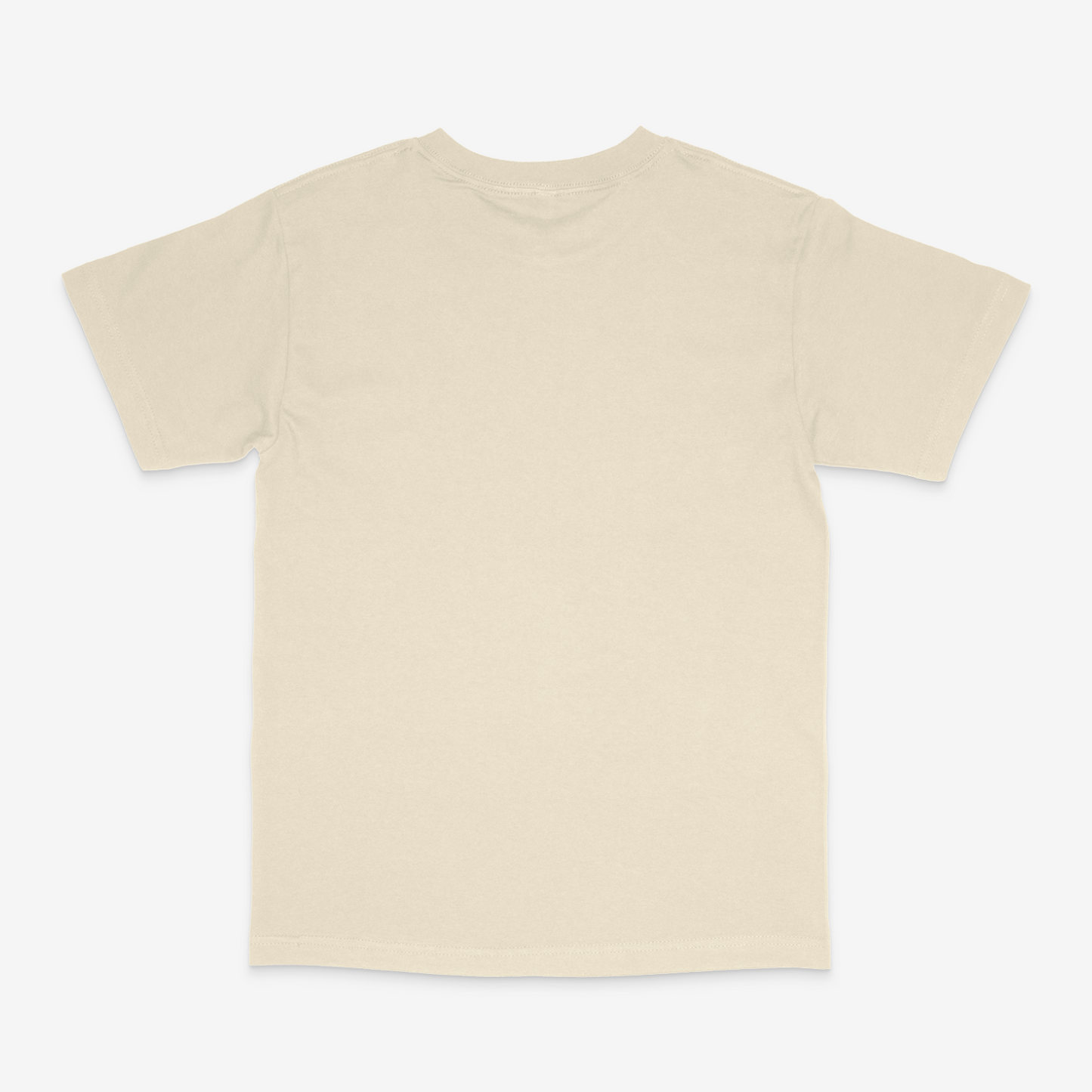 American Apparel - Heavyweight Cotton T-Shirt - 1301